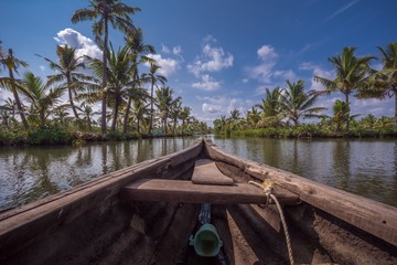 Wall Mural - Coconut trees near backwater canals in Munroe Island