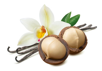 Wall Mural - vanilla flower and leaves with macadamia nut isolated on white background