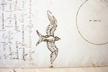 Bird, Dove, Mechanism Of Flight In The Vintage Book Manuscripts Of Leonardo Da Vinci, Codex On The Flight Of Birds By T. Sabachnikoff, Paris, 1893