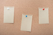 © Artur Lans - Empty notepad on notice board