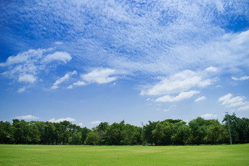 Landscape of grass and beautiful sky. Use as natural background.