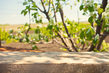 Empty wood plank table top with blur park green nature background bokeh light,Mock up for display or montage of product,Banner or header for advertise on social media,Spring and Summer concept