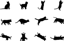 Set Cat Black White Background Isolated Logo Icon Vector  Sign Silhouette