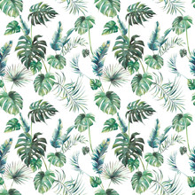 Watercolor Tropical Leaves Surface Design. Exotic Monstera And Palm Green Branches Texture On White Background. Summer Plants Seamless Pattern