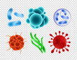 Vector illustration set of bacterias and virus, parasites, close up microscopic cells isolated on transparent background. Collection of microorganism, microbe.