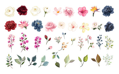 Set of floral elements. Flower red, burgundy, navy blue rose, green leaves. Wedding concept - flowers. Floral poster, invite. Vector arrangements for greeting card or invitation design