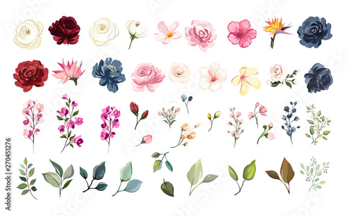 Fotografía Set of floral elements