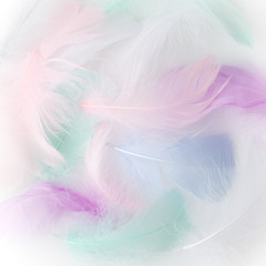 Wall Mural - abstract feather rainbow patchwork background. closeup image. fashion color trends.