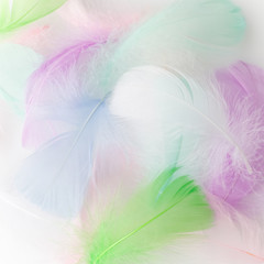 Wall Mural - abstract feather rainbow patchwork background. closeup image. fashion color trends.