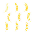 Wheat grains set. A set of icons ready to use in your design. Vector icons can be used on different backgrounds. EPS10.