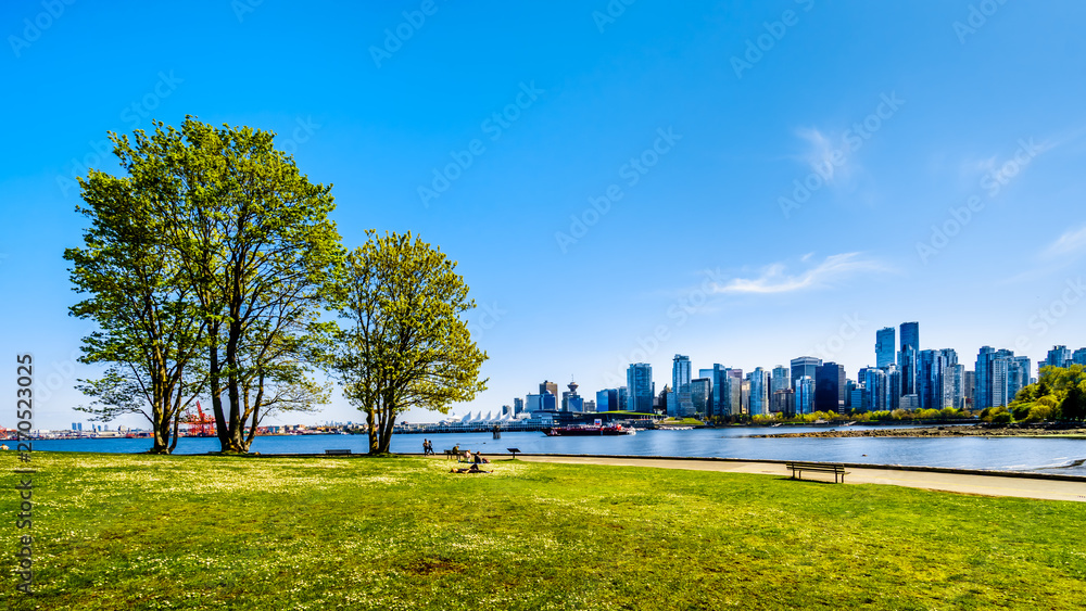 View of the Vancouver Skyline and Harbor. Viewed from the Stanley Park Seawall pathway in beautiful British Columbia, Canada - obrazy, fototapety, plakaty 