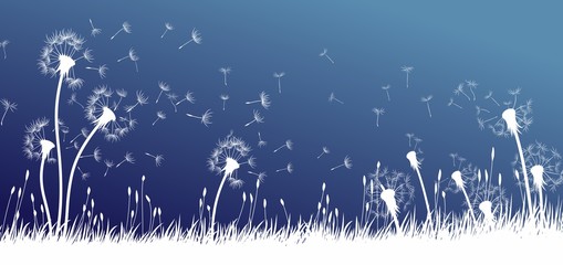 Sticker - The dandelion Flowers with flying seeds. 