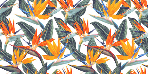 ,Seamless pattern with tropical flowers and leaves of Strelitzia, called crane flower or bird of paradise. Realistic style, hand drawn, vector. Background for prints, fabric, wallpapers, wrapping pape