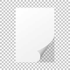 Wall Mural - Paper curl on a isolated background with shadow - vector design