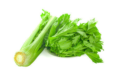 Wall Mural - fresh celery an isolated on white background