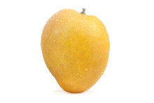 Fresh Yellow Mango On White Background, Mango With Slice On White Background, Mango Isolated On White Background, Water Drops On Mango