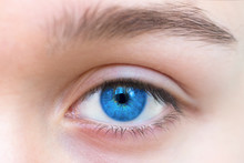 Part Of Face, Beautiful Blue Woman Single Eye Close Up