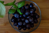 Fototapeta Dmuchawce - Borówka blueberries