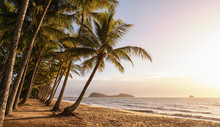 Panoramic View Of An Empty Tropical Beach At The Sunrise With Copy Space