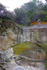 Wall Mural - Geothermal craters in the forest in the Waiotapu area of the Taupo Volcanic Zone in New Zealand