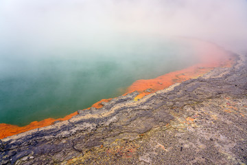 Wall Mural - Geothermal craters in the forest in the Waiotapu area of the Taupo Volcanic Zone in New Zealand