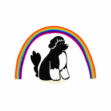 Dog Sitting Under Rainbow