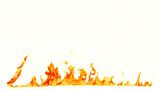 Fototapeta  - Fire flames isolated on white background.