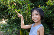 Leinwandbild Motiv Asian Chinese Little Girl pointing to Sapodilla fruit in organic farm