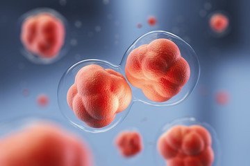 Wall Mural - microscopic of human cells, 3d rendering.