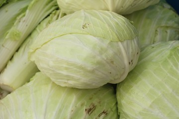 Poster - Head cabbage for cooking at street food