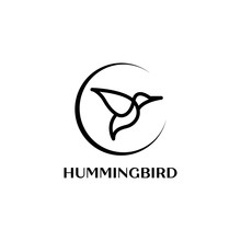 Colibri Or Hummingbird Logo Design With Simple Line Art Logo Type