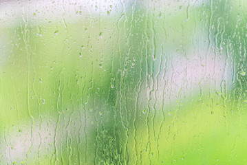 Rain drops on window with green tree in background