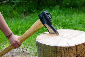 Detail of two flying pieces of wood on log with sawdust.