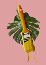 Green Leaf Of Monstera And A Brush With Yellow Paint On A Pink B