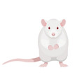 Cartoon white rat vector illustration. Cute sitting albino rat isolated on white background.