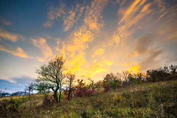 Poster - Autumn view near Deva citadel, Romania