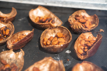 fresh Cocoa beans dry in solar dryer box of coffee farm in Thailand, raw healthy dessert fruit plant seed ingredient