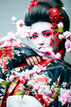 Young Pretty Geisha In Black Kimono Among Sakura, Asian Ethno Closeup