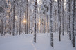 © Marta Mu?oz-Calero Calderon/Stocksy - Snowy landscape in Lapland