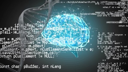 Human brain, DNA helix and interface codes