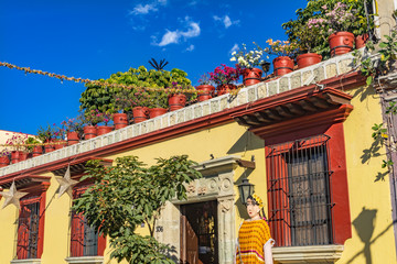 Wall Mural - Colorful Mexican Yellow Street Flowers Oaxaca Juarez Mexico