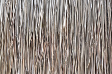 Grasses Thatch Roof Background Texture, Wallpaper