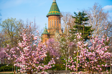 Springtime in Timisoara, Romania