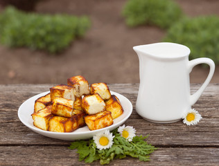 Plate of fried homemade cheese paneer with milk - country meal