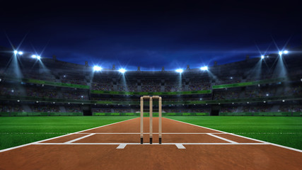 Wall Mural - Night cricket field general view and stadium lights on