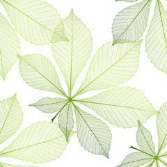 Wall Mural - Seamless pattern with chestnut leaves . Vector, EPS 10.