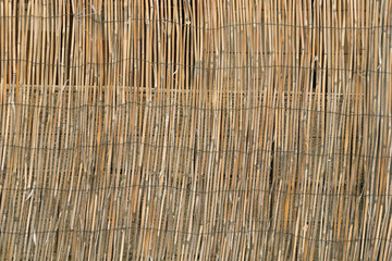  The dry reeds fence. Yellow and brown reeds texture closeup background.