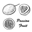 © rajjkot - Passion fruit illustration. Exotic tropical fruit drawings isolated on white background. Botanical illustration of fruits.