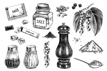 Hand drawn salt and pepper icons