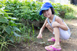 Leinwandbild Motiv Asian Chinese Little Girl playing at organic farm